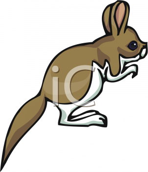 Rodent Clipart