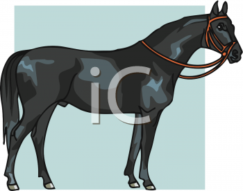 Horse Clipart