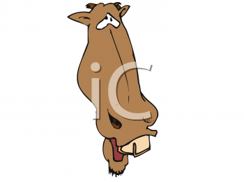 Horse Clipart