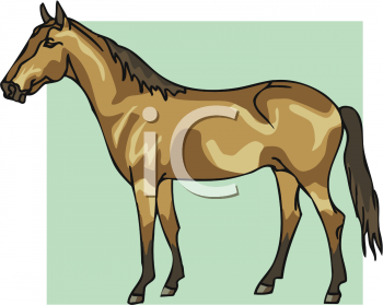 Horse Clipart