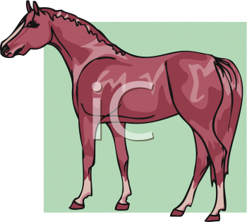 Horse Clipart