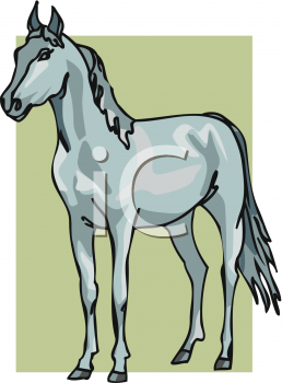 Horse Clipart