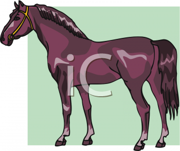 Horse Clipart