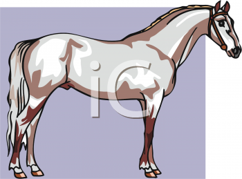 Horse Clipart