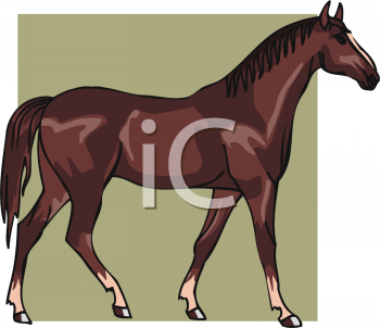 Horse Clipart