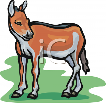 Horse Clipart