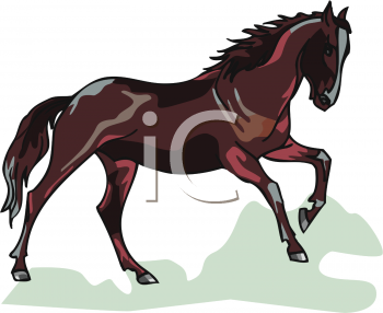 Horse Clipart