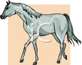 Horse Clipart