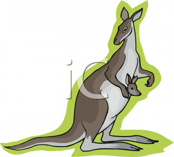 Marsupial Clipart