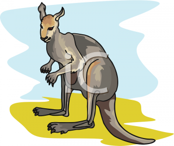 Marsupial Clipart