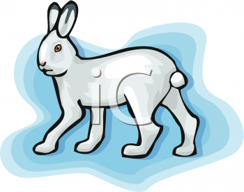 Pet Clipart