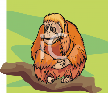 Primate Clipart