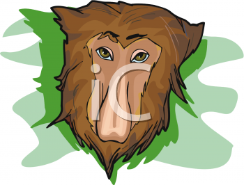 Primate Clipart