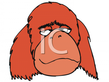 Primate Clipart