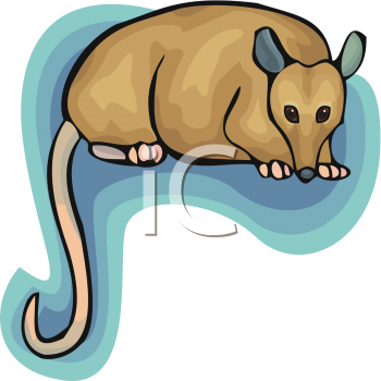 Marsupial Clipart