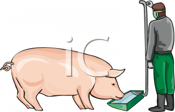 Livestock Clipart