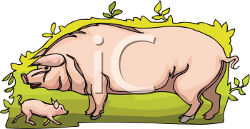 Farm Animal Clipart