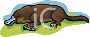 Mammal Clipart