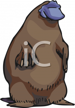 Mammal Clipart