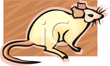 Rodent Clipart