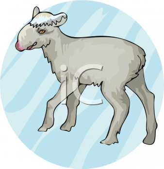 Farm Animal Clipart