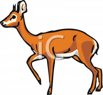 Antelope Clipart