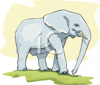 Mammal Clipart