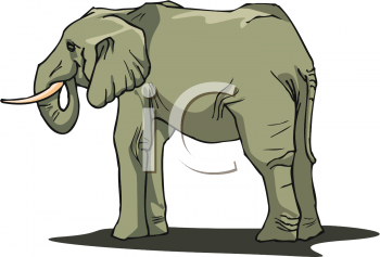 Mammal Clipart