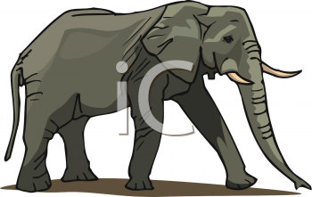 Mammal Clipart