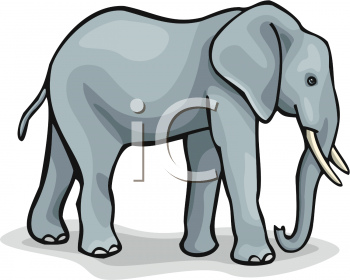 Mammal Clipart