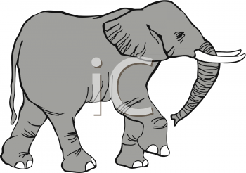 Mammal Clipart