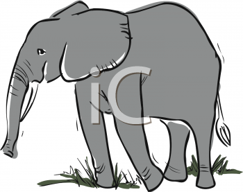 Mammal Clipart