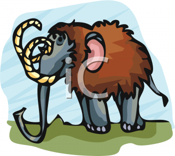 Mammal Clipart