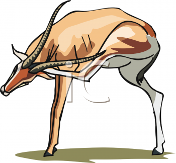 Antelope Clipart