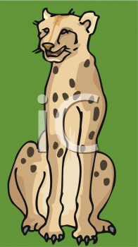 Big Cat Clipart