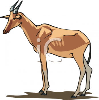 Antelope Clipart