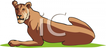 Big Cat Clipart