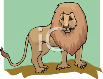 Big Cat Clipart