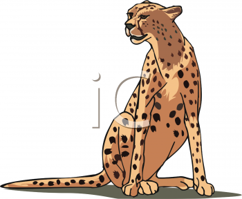 Big Cat Clipart