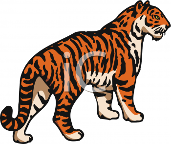 Big Cat Clipart