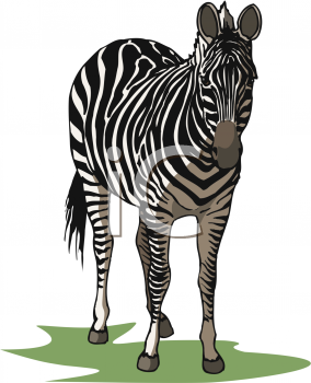 Horse Clipart