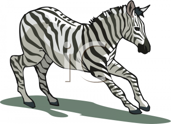 Horse Clipart