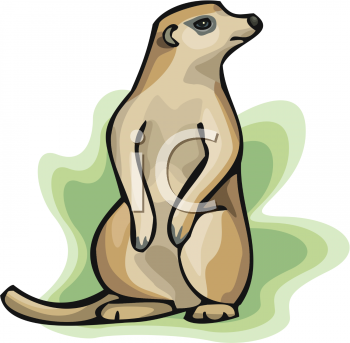 Rodent Clipart