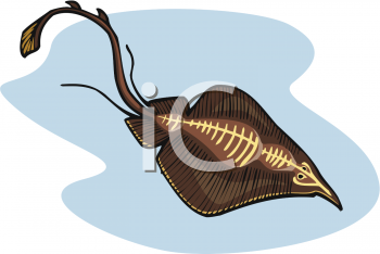 Fish and Sea Life Clipart