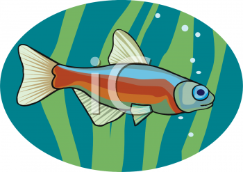 Fish and Sea Life Clipart