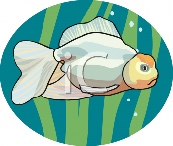 Fish and Sea Life Clipart