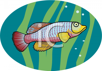 Fish and Sea Life Clipart