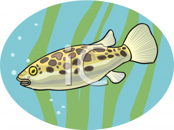 Fish and Sea Life Clipart