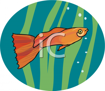 Fish and Sea Life Clipart