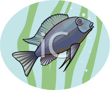 Fish and Sea Life Clipart